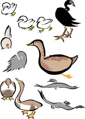 浮世絵　鳥　その25