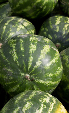 close-up watermelons on the market