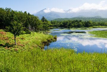 北海道　夏　夏休み　湖と森　雲　青空　晴れ　知床　景色　風景　自然　草原