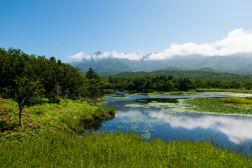 Obraz premium 雲の写る湖と森 北海道