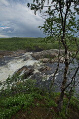 Fototapeta na wymiar Rocky rapids of the Titovka river, Murmansk region of Russia.