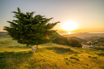 Orange sunset over the Sea of adriatic, with flower-covered hill slope in the foreground, and the Albanian city - Vlora
