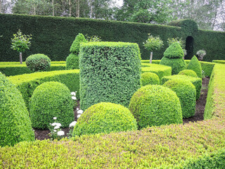 Green nice garden with hedges cut very accurately.