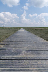 Boardwalk over the agriculture fields and nature reserve of the drowned land of Saeftinghe nature reserve