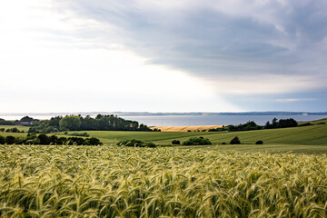 Mors, Denmark Agricultural landscape of the Mors island in central Denmark and the Limfjord. © Alexander