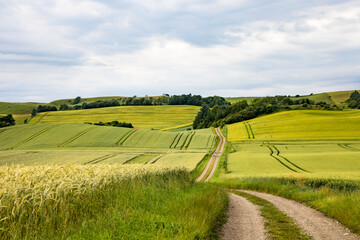 Mors, Denmark Agricultural landscape of the Mors island in central Denmark. © Alexander