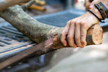 selective focus large branches Men are using Bow Saw to cut wood to make firewood to collect for winter use