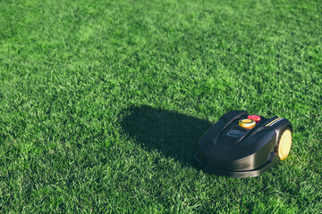 Robotic Lawn Mower cutting grass in the garden. Automatic robot lawnmower in modern garden on sunny...