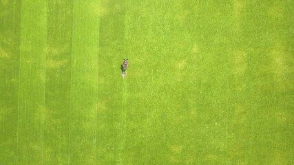 Aerial view of small figure of man worker trimming green grass with mowing mashine on football stadium field in summer.