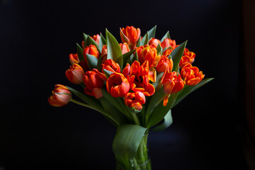 Bouquet of red-yellow tulips on a black background. Close-up.