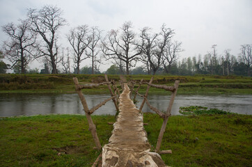 Wooden hanging foot bridge over river in tropical forest. Chitwan safari park Nepal Asia