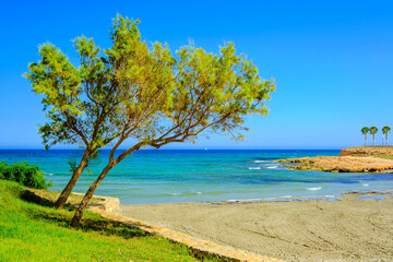 Fototapeta na wymiar Summer landscape with sea, beach, nature of Spain