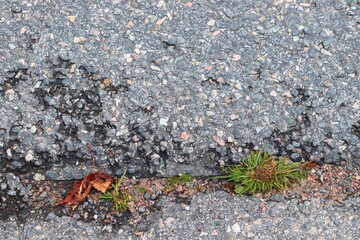Damaged local street in Sweden