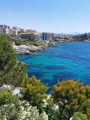 Top view of the sea and the garden with pines, bougainvilleas, mimosas and other flowers. The Aegean sea. Turkey, Kusadasi. Europe.