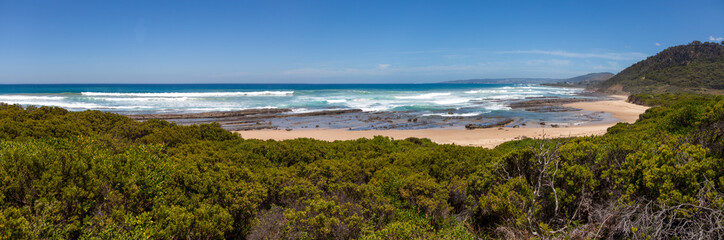 View from the hill to the rainforest, sandy beach and ocean on the horizon. Australia. Green rainforest overgrown in the foreground. In the distance is a yellow sandy beach. The skyline is above water