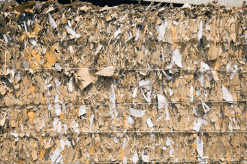 Paper pile and piece of cardboard