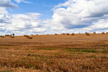 Lato w Dolinie Górnej Narwi, Podlasie, Polska