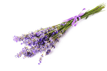 Bunch of blooming lavender on a white isolated background.