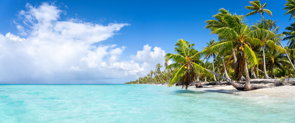 Tropical beach panorama with turquoise water and palm trees