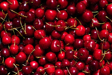 Sweet ripe cherry. Bunch of sweet cherries. top view. Macro photo fresh cherry. background sweet cherry.