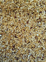 Picture of pigeon pea also known as toor dal