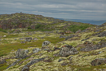 Rocky tundra of the Kola Peninsula, Murmansk region of Russia.