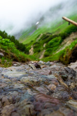 small river in the alps (Vorarlberg, Austria)
