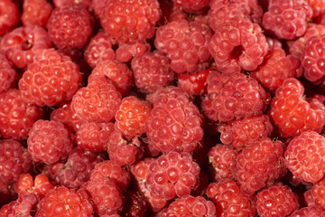 raspberry