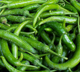 Green chili