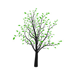 Black tree silhouette with green leaves isolated on white background. Vector