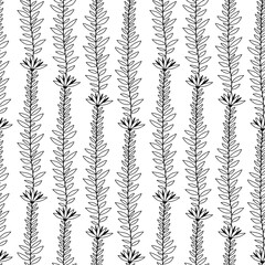 Floral black and white pattern. Hand drawn minimal flourish seamless backgrond.