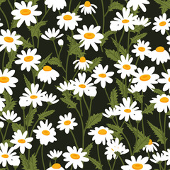 Chamomile vector seamless pattern. Floral ditsy texture with small white daisy flowers, buds and leaves for fabric, wrapping, textile and wallpaper.