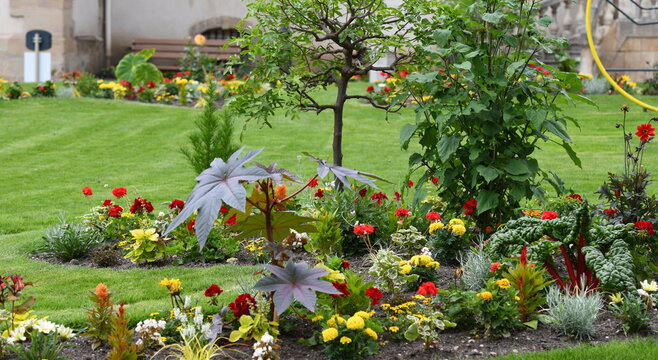 "Jardin Fleuri" Images – Browse 2,365 Stock Photos, Vectors, and Video ...