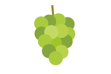 シンプルでかわいいマスカットのベクターイラスト