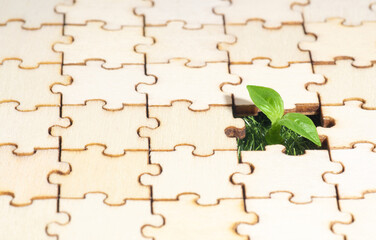 Small plant coming through a hole in a jigsaw puzzle