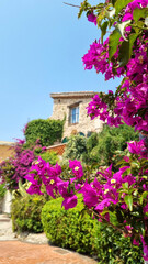 Flowers in the Antibes old town, French Riviera