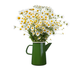 Bouquet of daisies and olearius in a vintage jug on a white background