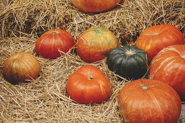 Pumpkins pile on hay stacks in city street, festive holiday rustic decor. Halloween festive decoration outdoor. Happy halloween. Autumn market in town. Harvest time