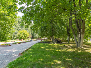 Pushkino, Russia, june, 15, 2021. Summer cityscape. Trees on the boulevard