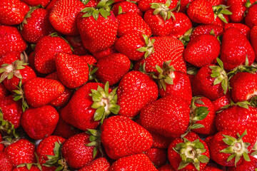 Strawberry background, fresh ripe fruits, summer food background