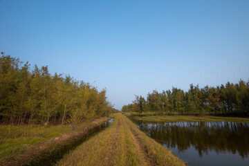 landscape with river