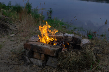 campfire in the forest