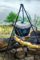 camping in the forest