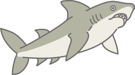 下から見たサメのイラスト