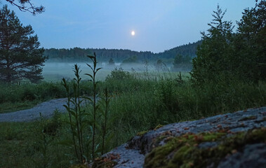 summer landscape with fog and moon over the forest field