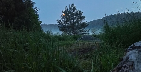 summer landscape with fog and moon over the forest field