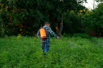 A man sprays plants from pests in the garden.