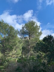 Marseille, Nice, Sea, Blue Sky, France, Europe