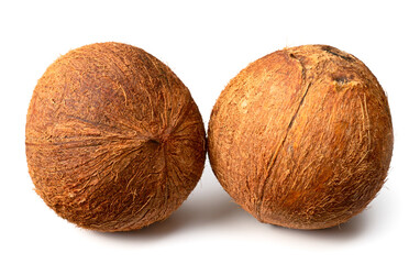 whole hairy coconut fruit isolated on white background
