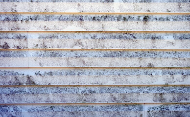 Black mold on vinyl siding on a Missourk home. The north wall is a breeding ground for the unsightly fungi.